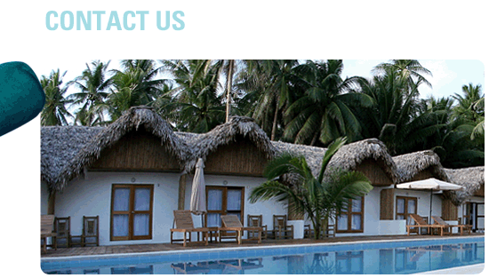 Contact_us